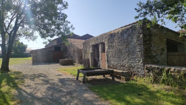 2023-05-28 - saint-georges-de-montaigu (12)
