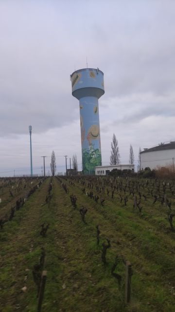 2023-02-05 - vertou (08)