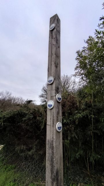 2023-02-05 - vertou (09)