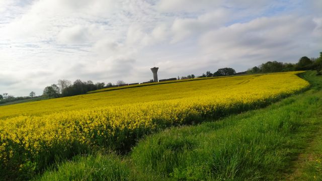 2023-04-30 - rosnay (10)