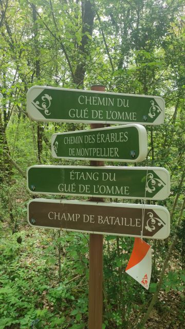2023-04-28 - saint-benoit (25)