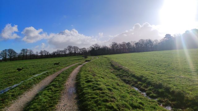 2023-01-15 - commequiers (06)