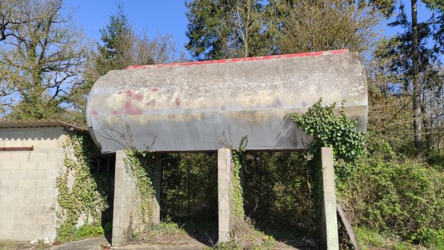 2023-04-16 - martinet (14)