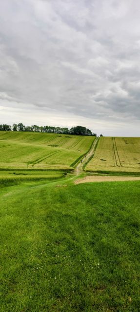 2023-05-18-gimont (42)