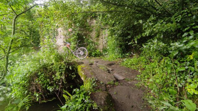 2023-05-07 - saint-hilaire-de-clisson (17)
