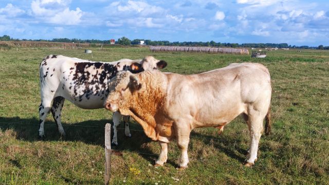 2023-08-26 - saint-jean-de-monts (02)