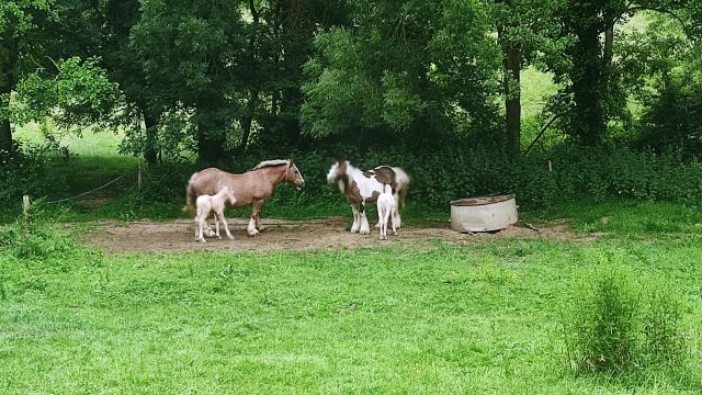 2023-06-10 beaufou (05)
