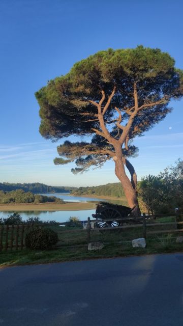2023-10-01 - la-chapelle-hermier (07)