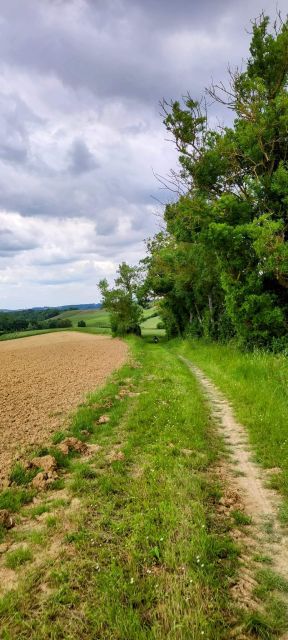 2023-05-18-gimont (30)