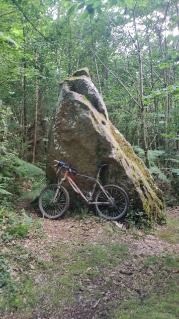 2023-06-11 - lege (06)