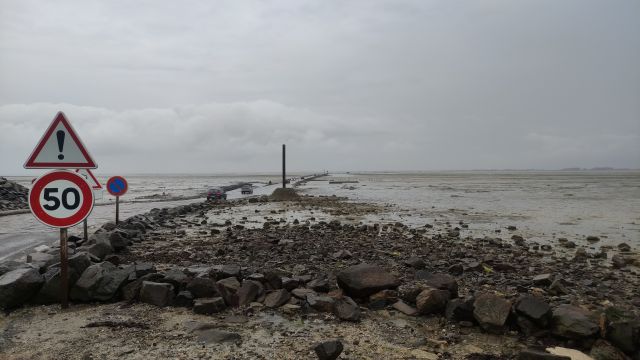 2023-06-18 - barbatre (09)