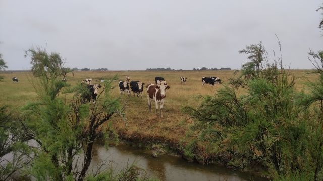 2023-06-18 - barbatre (12)