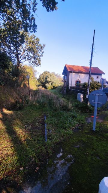 2023-09-03 - chaumes-en-retz (09)