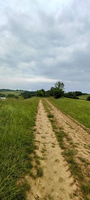 3023-05-19-rieumes (31)