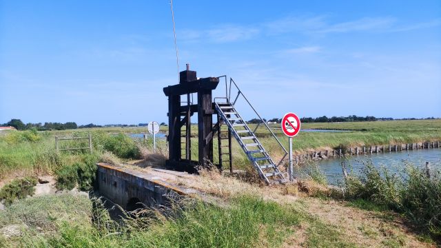 2023-05-29 - beauvoir-sur-mer (04)