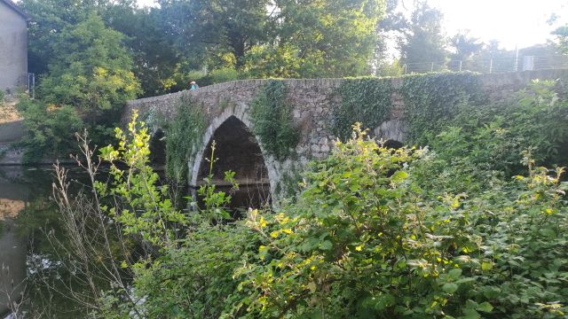2023-05-28 - saint-georges-de-montaigu (02)