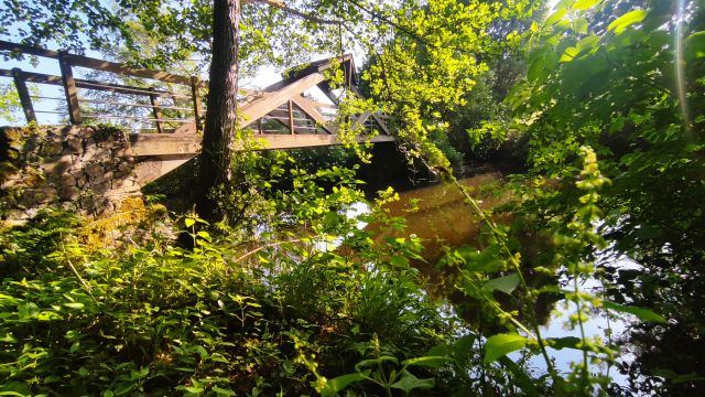 2023-05-28 - saint-georges-de-montaigu (09)