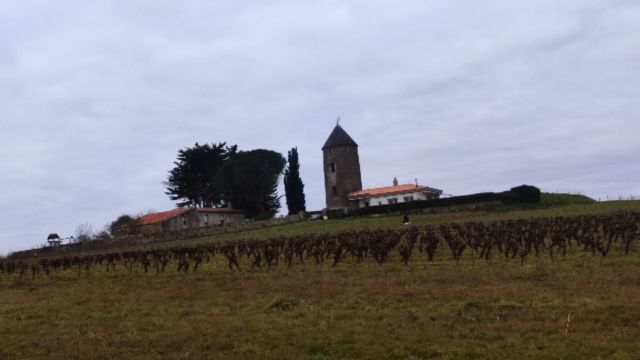 2023-02-05 - vertou (11)