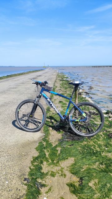 2023-05-29 - beauvoir-sur-mer (06)