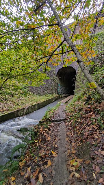 2023-11-12 - sainte-luce-sur-loire (23)