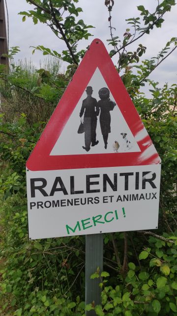 3023-05-19-rieumes (10)