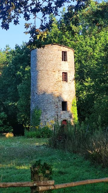 2023-09-03 - chaumes-en-retz (06)
