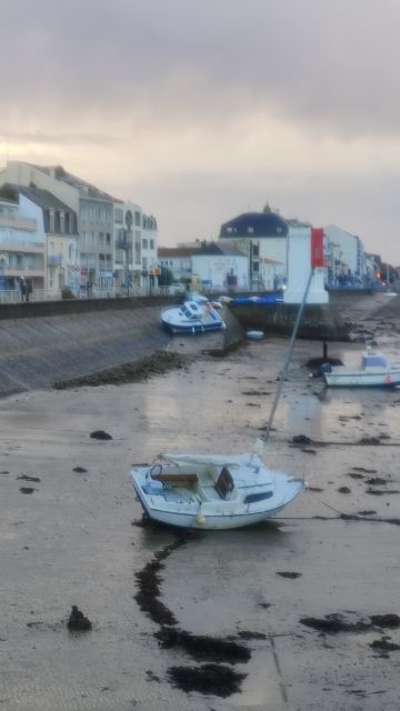 2023-10-29 - brem-sur-mer (05)
