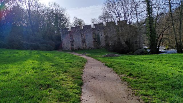 2023-03-26 - aubigny (11)