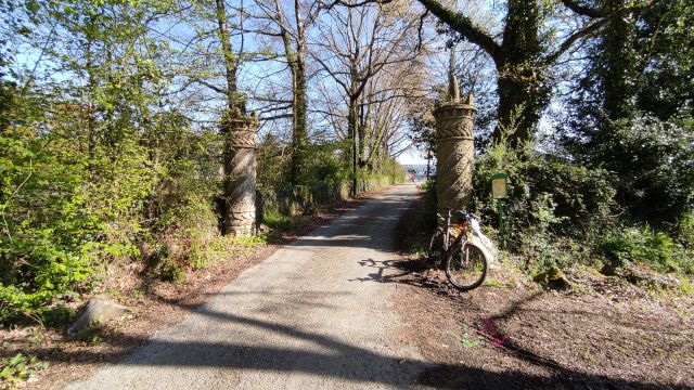 2023-04-16 - martinet (12)