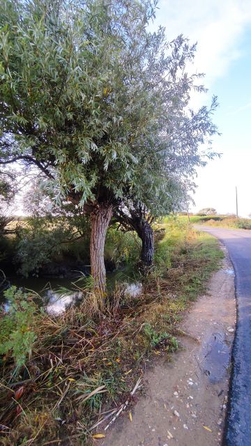 2023-08-12 - saint-jean-de-monts (03)