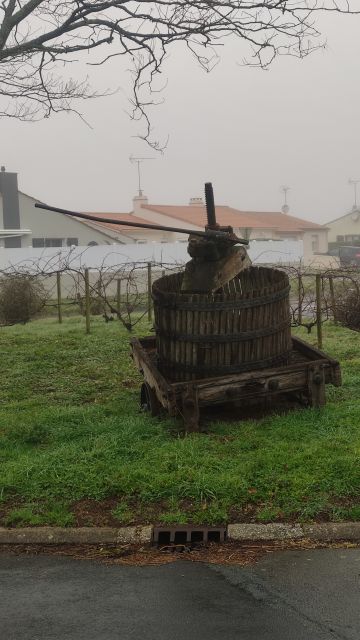 2023-02-17 - landevieille (11)