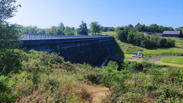2023-05-28 - saint-georges-de-montaigu (16)