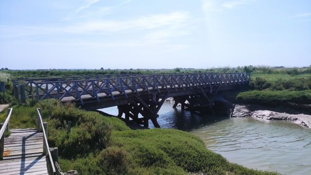 2023-05-29 - beauvoir-sur-mer (07)