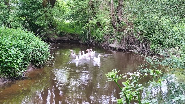 2023-05-14 - grandlandes (04)