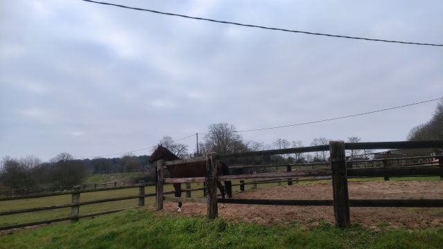 2023-03-05 - commequiers (05)