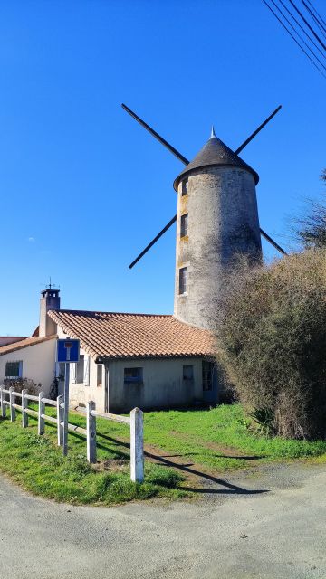 2023-02-26 - chauche (18)
