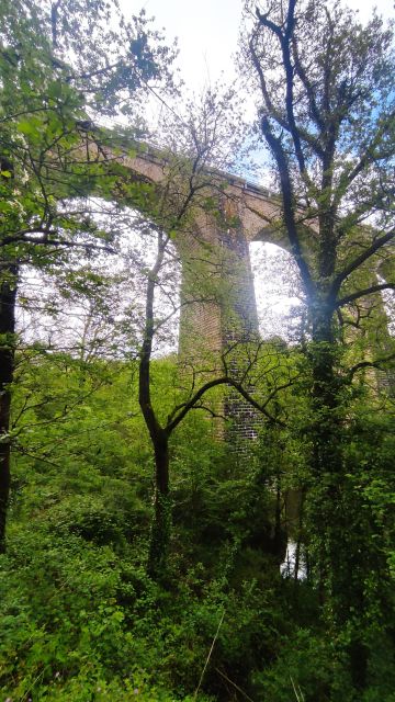 2023-05-07 - saint-hilaire-de-clisson (18)