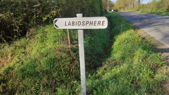 2023-04-16 - martinet (09)