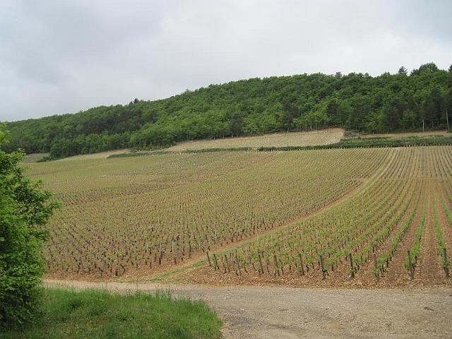 2010-05-15-beaune (012)