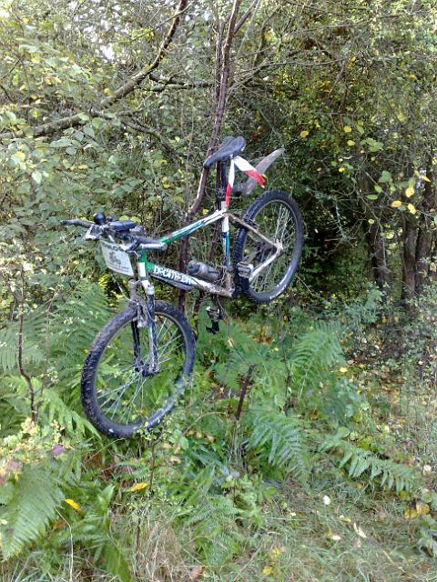 2010-10-03-chataignes (08)