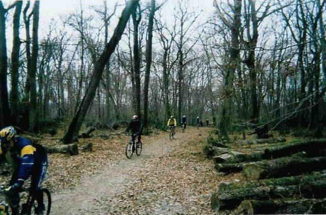 2003-02-23 Dammarie 3