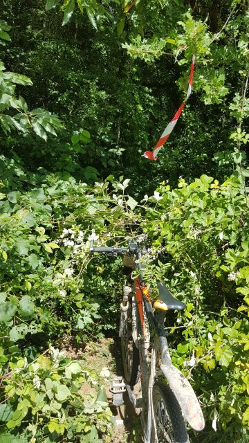 2017-06-11-cheptainville (14)