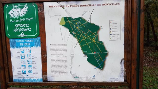 2017-11-12 - montceaux-les-meaux (05)