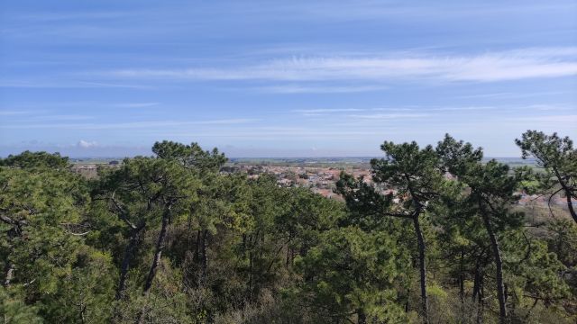 2023-04-07 - saint-jean-de-monts (05)