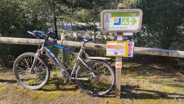 2023-04-07 - saint-jean-de-monts (08)