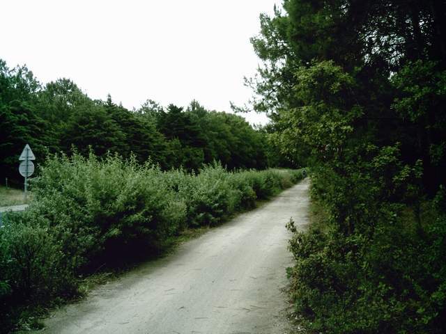 2007-07-10 (16)
