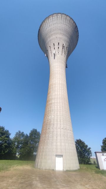 2023-05-28 - saint-georges-de-montaigu (21)