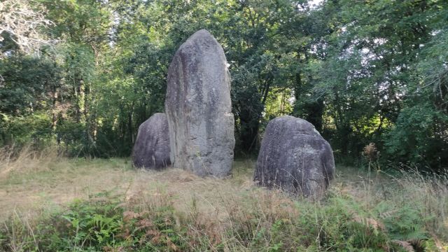 2023-08-06 - talmont-saint-hilaire (14)