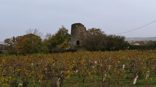 2023-11-12 - sainte-luce-sur-loire (09)