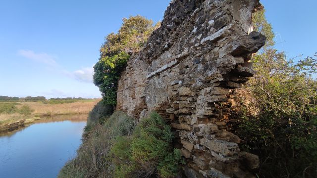 2023-08-06 - talmont-saint-hilaire (06)